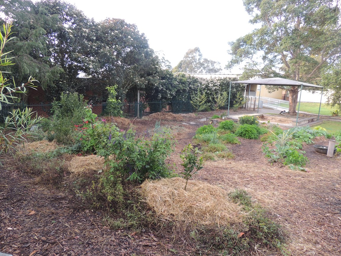 Citris mound and Vegetable garden